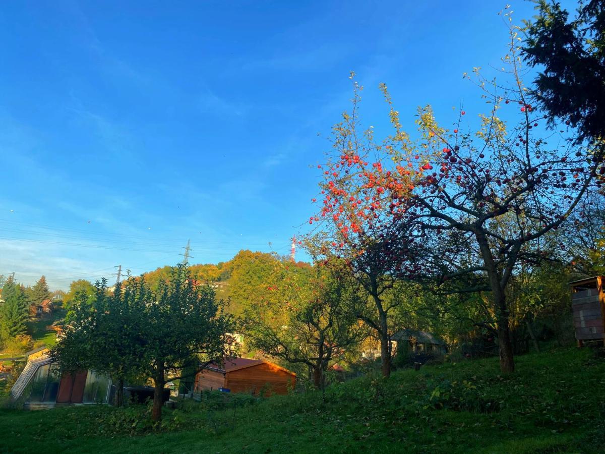 Decinska * Decin